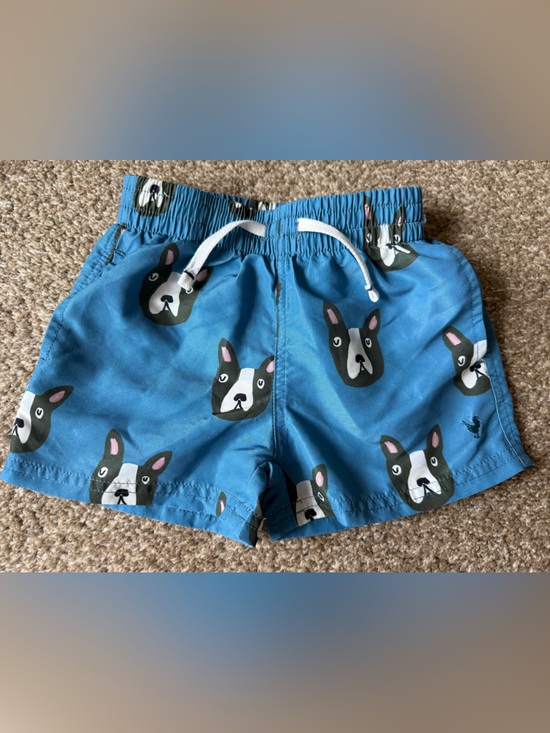 Blue Rooster Collection Other - Blue Rooster Boys Swim Trunks